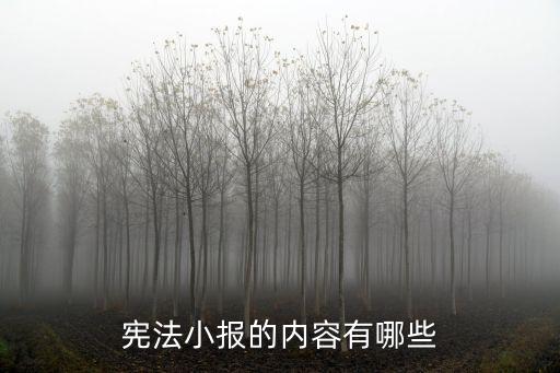憲法主題手抄報,學憲憲講憲政講憲憲手抄