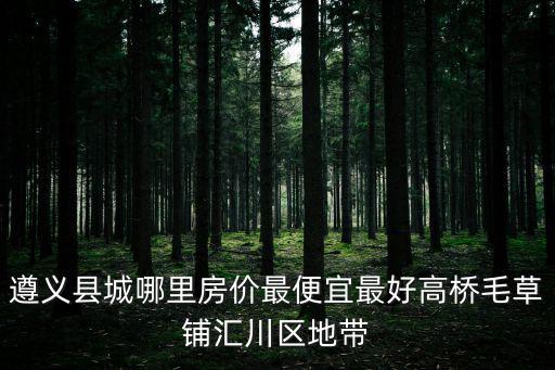 遵義縣城哪里房?jī)r(jià)最便宜最好高橋毛草鋪匯川區(qū)地帶