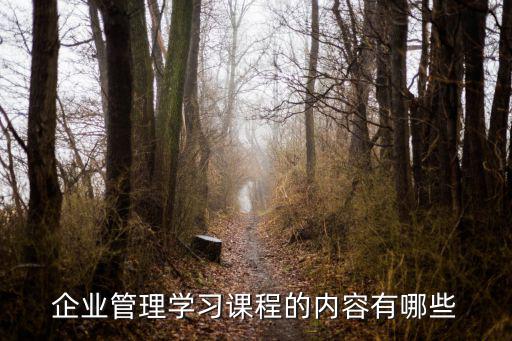 企業(yè)管理學(xué)習(xí)課程的內(nèi)容有哪些