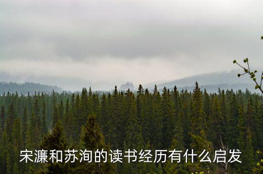 宋濂和蘇洵的讀書(shū)經(jīng)歷有什么啟發(fā)