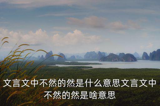 文言文中不然的然是什么意思文言文中不然的然是啥意思