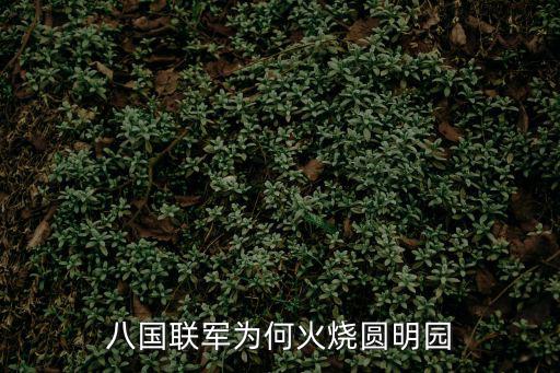 八國聯軍火燒圓明園,八國聯軍為何火燒圓明園?原因揭曉!