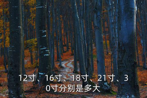 16英寸是多少寸,英寸是指對(duì)角線長(zhǎng)度5英寸照片尺寸比較通用