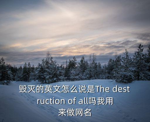 毀滅的英文怎么說是The destruction of all嗎我用來做網名