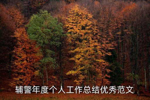 輔警年度個人工作總結優秀范文