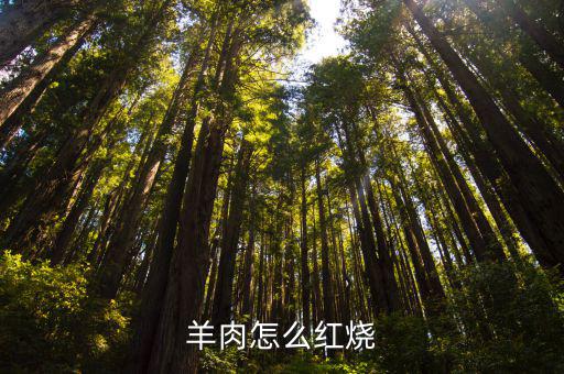 羊肉怎么紅燒