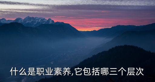 什么是職業素養,它包括哪三個層次
