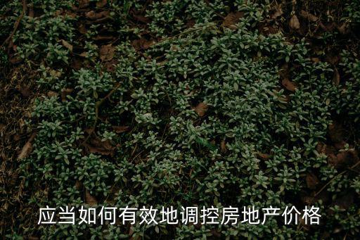 應(yīng)當(dāng)如何有效地調(diào)控房地產(chǎn)價(jià)格