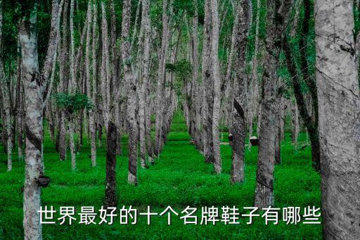 世界最好的十個(gè)名牌鞋子有哪些