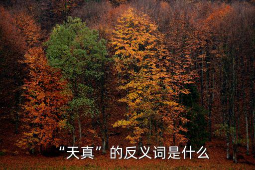 天真的反義詞,反義詞:糊涂直費(fèi)解翻譯本