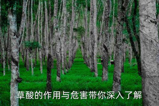 草酸的作用,工業(yè)硫酸鹽有哪些用處?