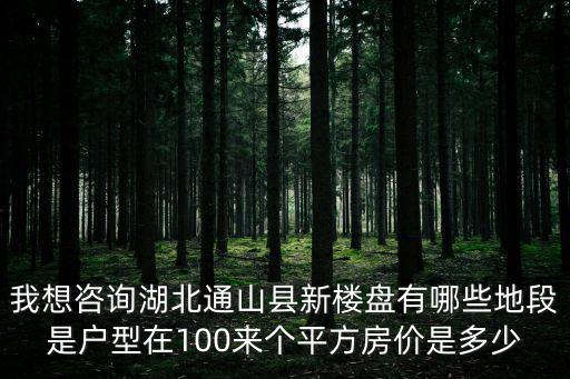我想咨詢湖北通山縣新樓盤有哪些地段是戶型在100來個平方房價是多少