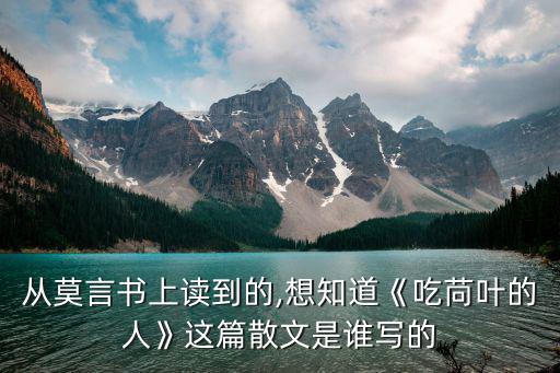奇人怪事,《金宵大廈》第二集:作者以旁觀者身份看待作品