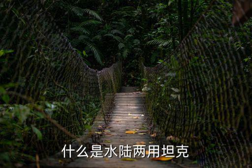 什么是水陸兩用坦克