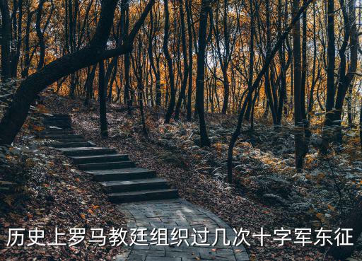 第四次十字軍東征，歷史上羅馬教廷組織過幾次十字軍東征