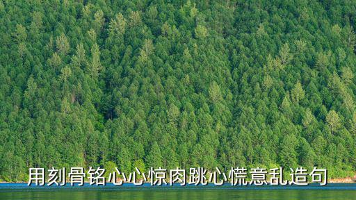 用刻骨銘心心驚肉跳心慌意亂造句