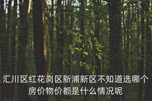 遵義哪個區域房價便宜，遵義最便宜的房子在哪里