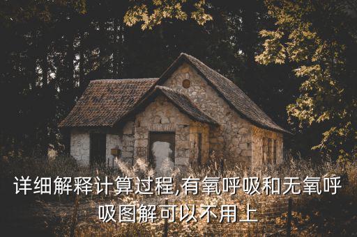 有氧呼吸過程圖解,三分鐘看懂!氧氣和二氧化碳怎么呼吸?