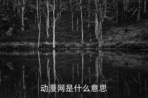 動漫網是什么意思