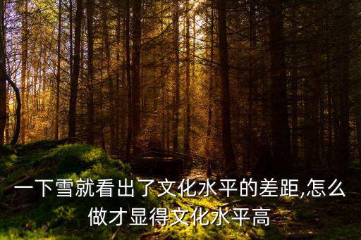 一下雪就看出了文化水平的差距,怎么做才顯得文化水平高