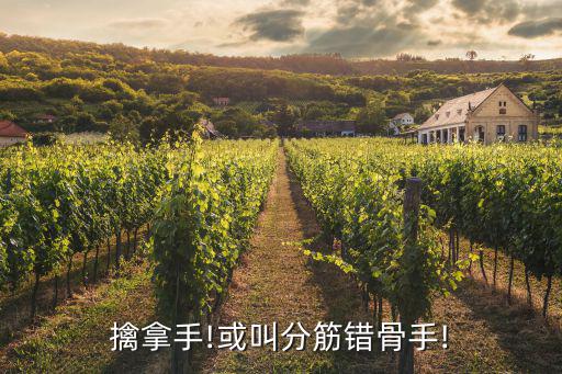 擒拿手,擒拿摔跤好手!擒拿手大開大合!