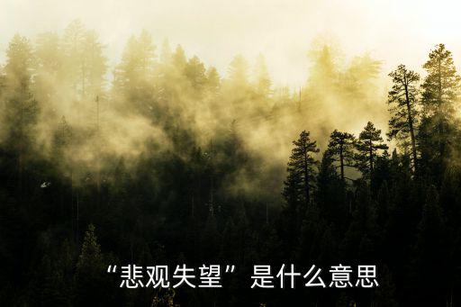 悲觀的近義詞,悲觀失望的近義詞是什么?