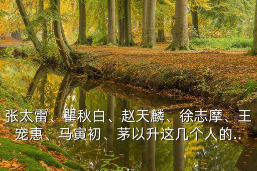 張?zhí)住Ⅵ那锇住②w天麟、徐志摩、王寵惠、馬寅初、茅以升這幾個(gè)人的...