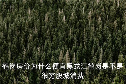 鶴崗房價為什么便宜黑龍江鶴崗是不是很窮股城消費