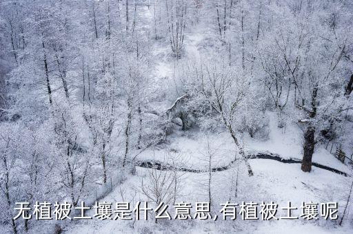 無(wú)植被土壤是什么意思,有植被土壤呢