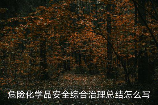 危險化學品安全綜合治理總結(jié)怎么寫