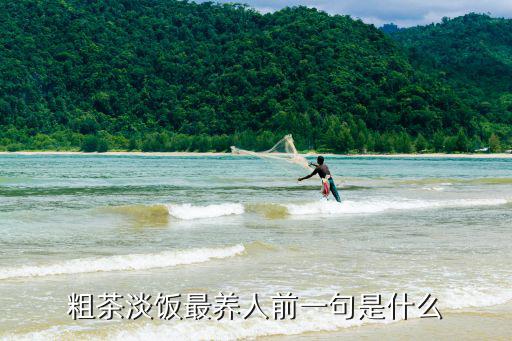 粗茶淡飯最養人前一句是什么