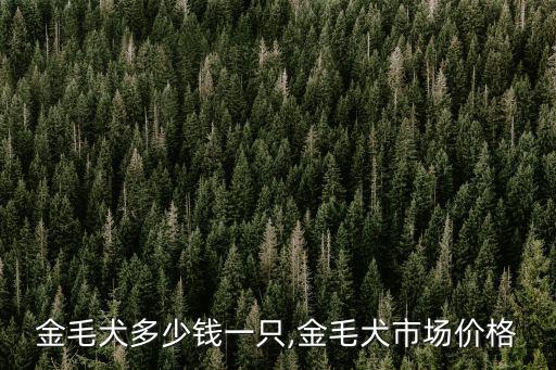 金毛犬多少錢一只,金毛犬市場價格