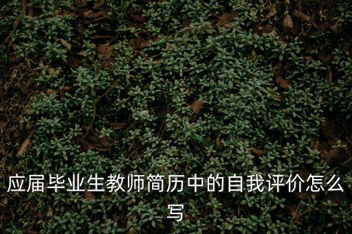 教師個人自我評價，教師簡歷中個人評價應(yīng)從哪些方面