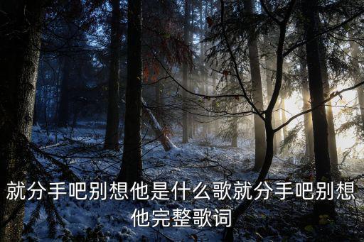 就分手吧別想他是什么歌就分手吧別想他完整歌詞