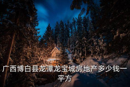 廣西博白縣龍?zhí)洱垖毘欠康禺a(chǎn)多少錢一平方