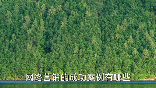 網(wǎng)絡(luò)營銷的成功案例有哪些