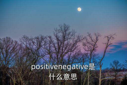 negtive,電池正極和負極之間夾雜著什么東西?