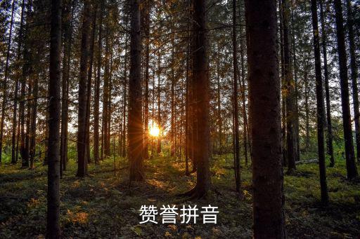 稱贊拼音,五個(gè)漢字:贊美稱贊表揚(yáng)贊揚(yáng)夸獎(jiǎng)反義:譴責(zé)譴責(zé)