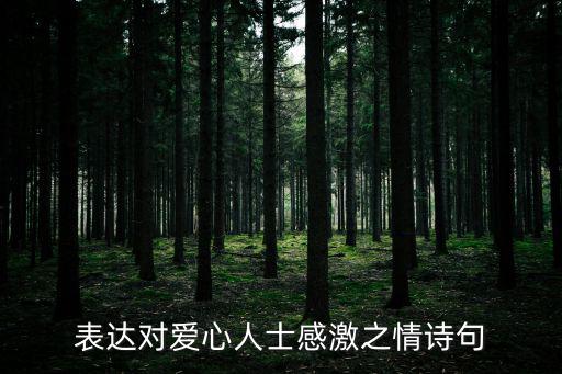 表達(dá)對(duì)愛心人士感激之情詩句