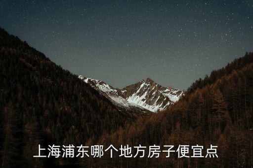 上海浦東哪個地方房子便宜點