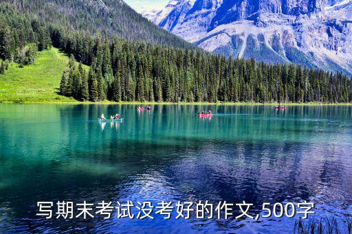 考試沒考好的作文,考完試再寫一篇感想小文