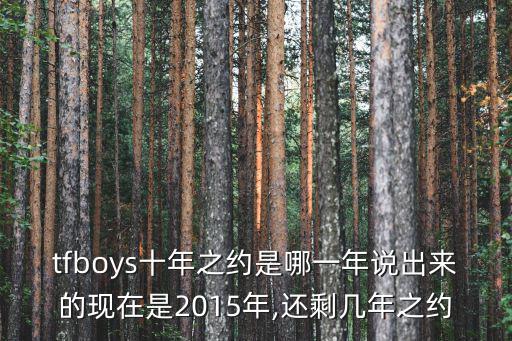 tfboys十年之約是哪一年說出來的現在是2015年,還剩幾年之約