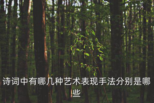 詩詞中有哪幾種藝術表現手法分別是哪些