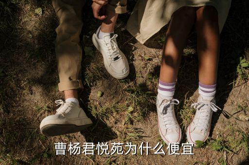 曹楊君悅苑為什么便宜