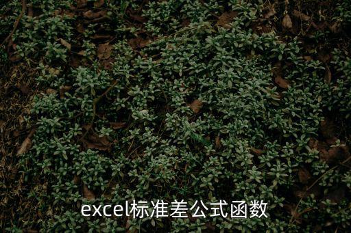 excel標準差公式函數
