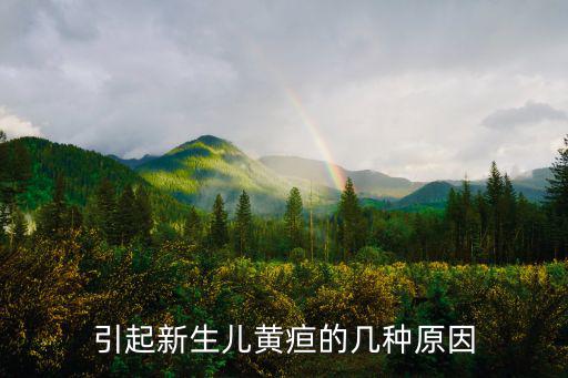 新生兒黃疸原因,黃疸可能是什么?