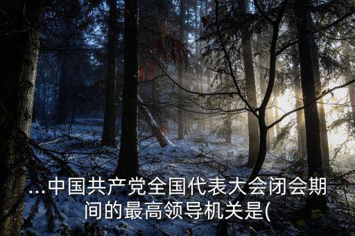 ...中國共產黨全國代表大會閉會期間的最高領導機關是(