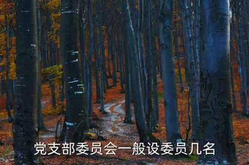 支委委員,黨支部有哪些委員?