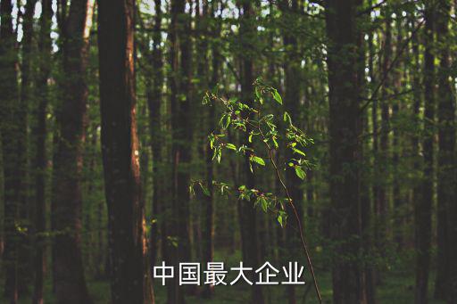 中國(guó)最大的企業(yè)，中國(guó)最大的公司是什么