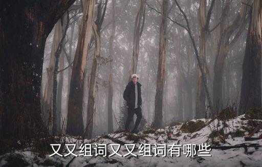 又又組詞四個字,又驚又喜又感動的四字詞